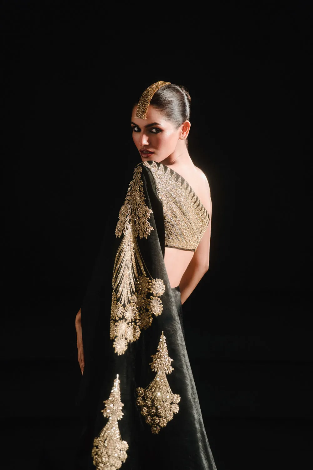 The Kala-Khatta Saree Gown