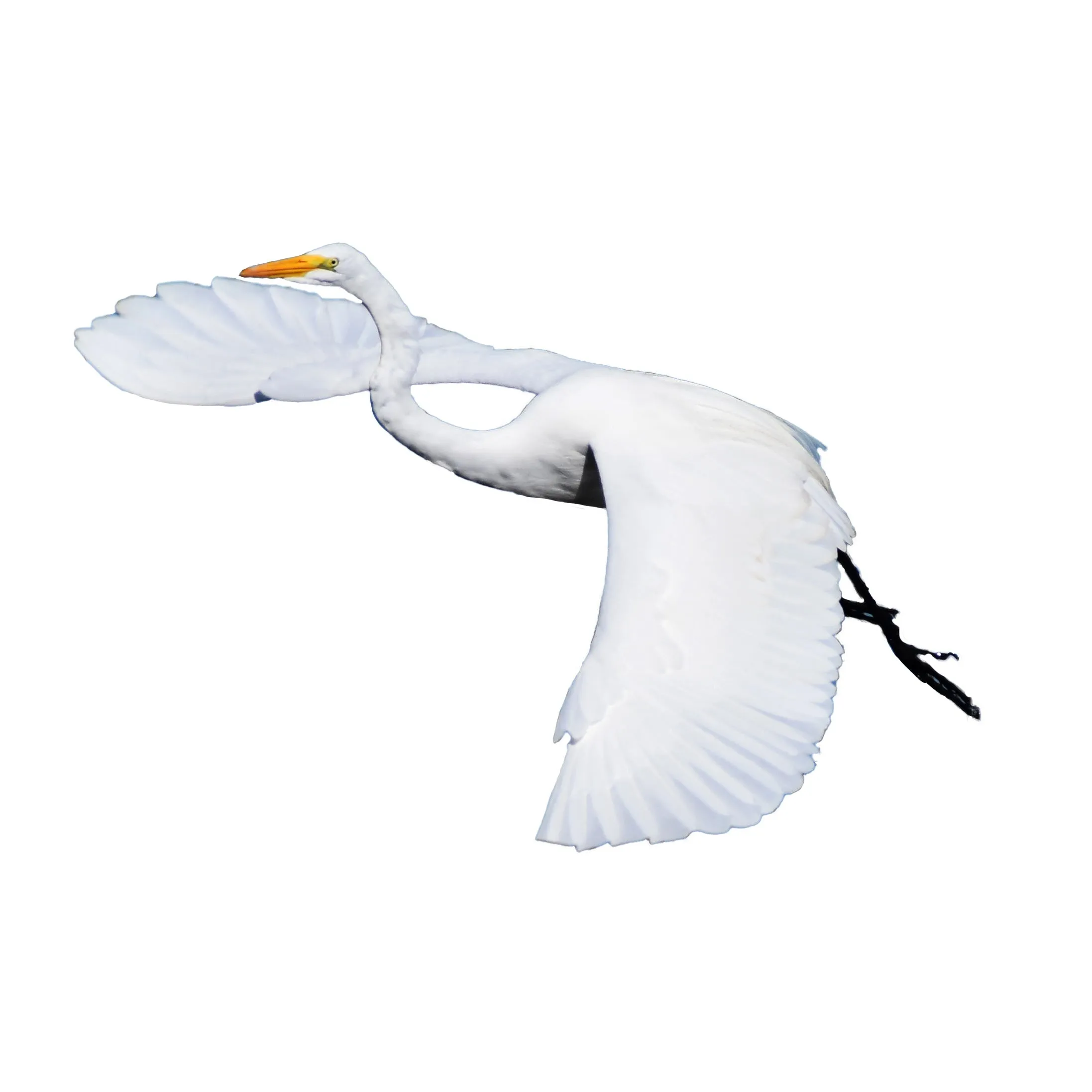 White Egret Check Bathrobe